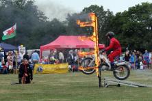 Solent Eagles Display