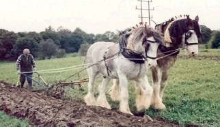 A Horse Drawn Plough competing in 1997