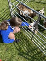 Farms2ewe