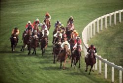 Horse Race