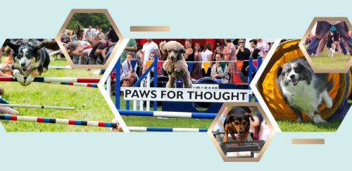 Paws for Thought Dog Display Team
