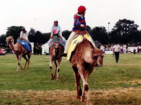 Camel Racing at the Treacle Fair 1993