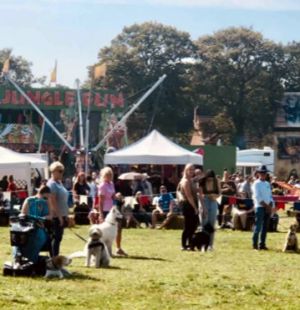 Dog Show at the 2021 Treacle Fair